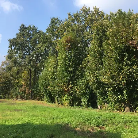 La Casa Di Ale * San Fermo della Battaglia